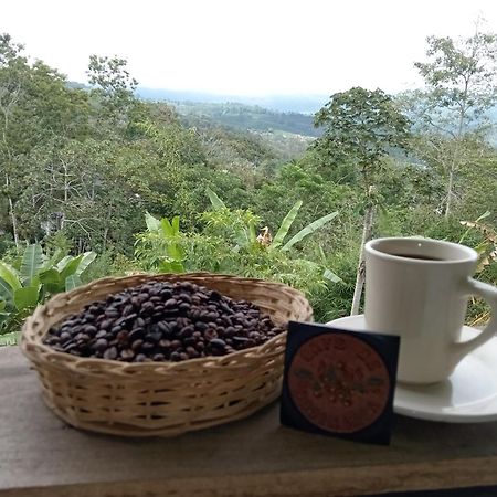 Hotel Green Mountain Turrialba Kültér fotó