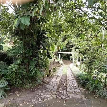 Hotel Green Mountain Turrialba Kültér fotó