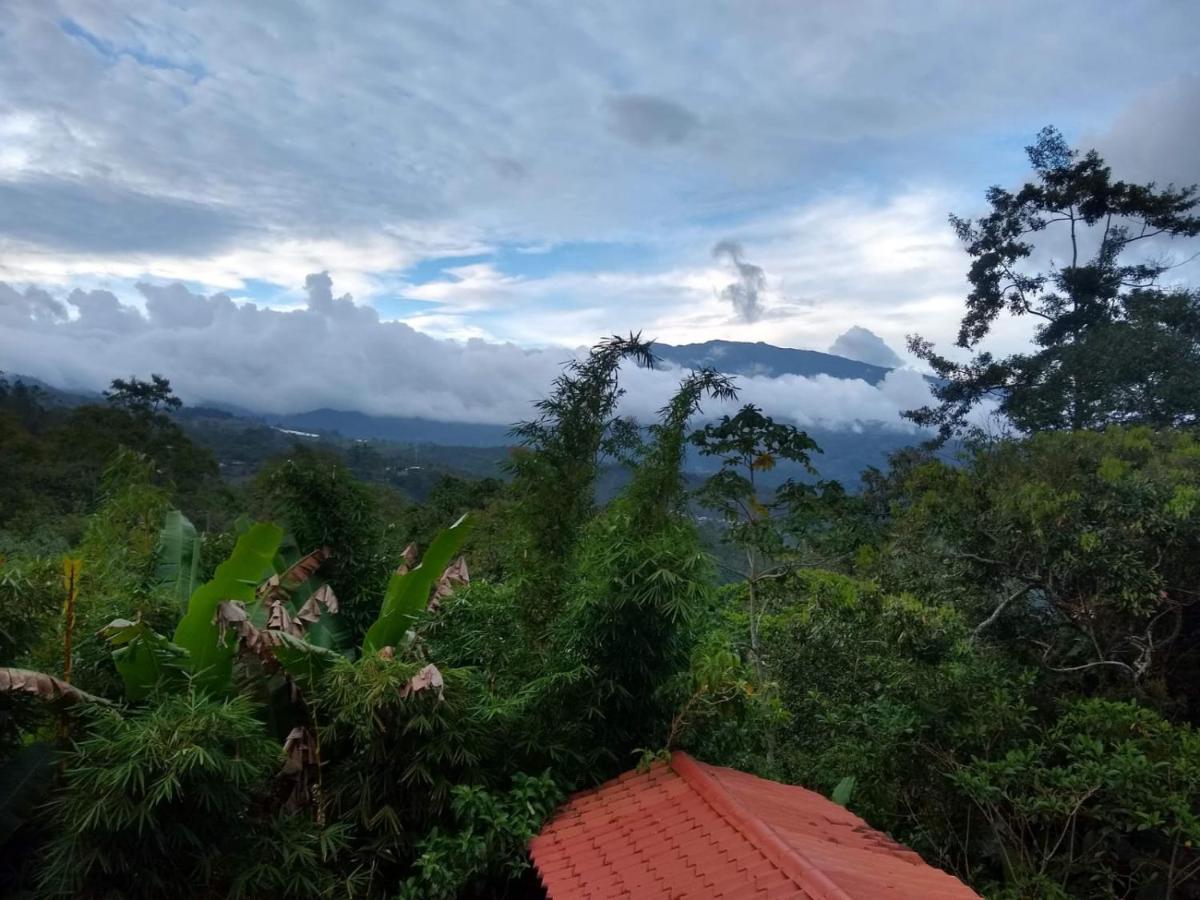 Hotel Green Mountain Turrialba Kültér fotó