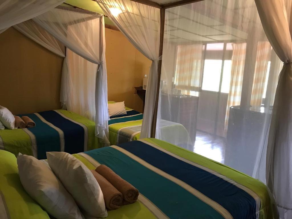 Hotel Green Mountain Turrialba Kültér fotó