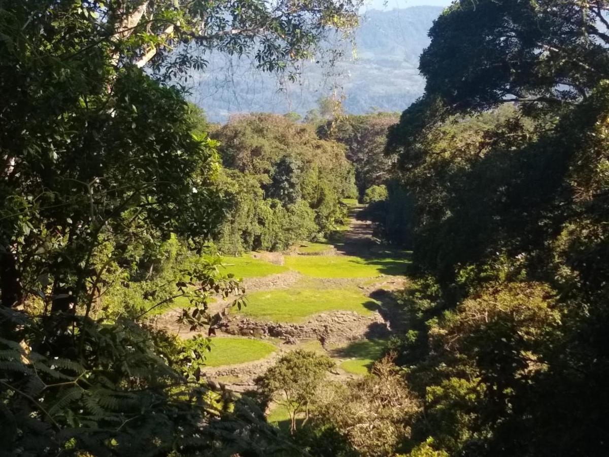 Hotel Green Mountain Turrialba Kültér fotó