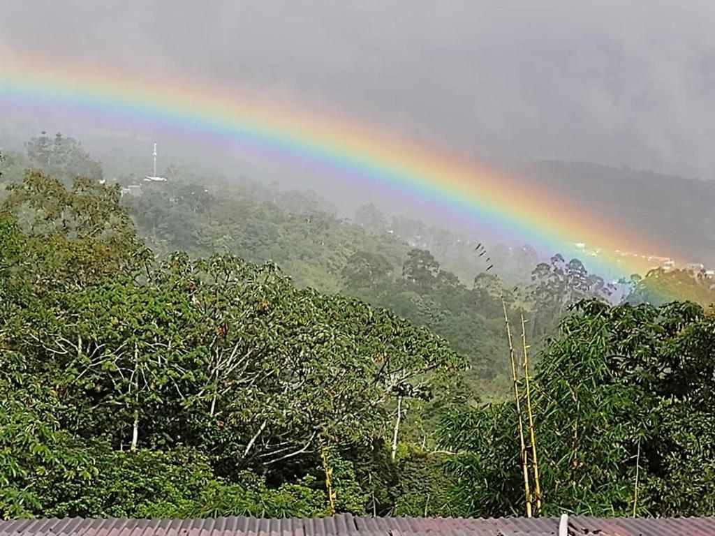 Hotel Green Mountain Turrialba Kültér fotó