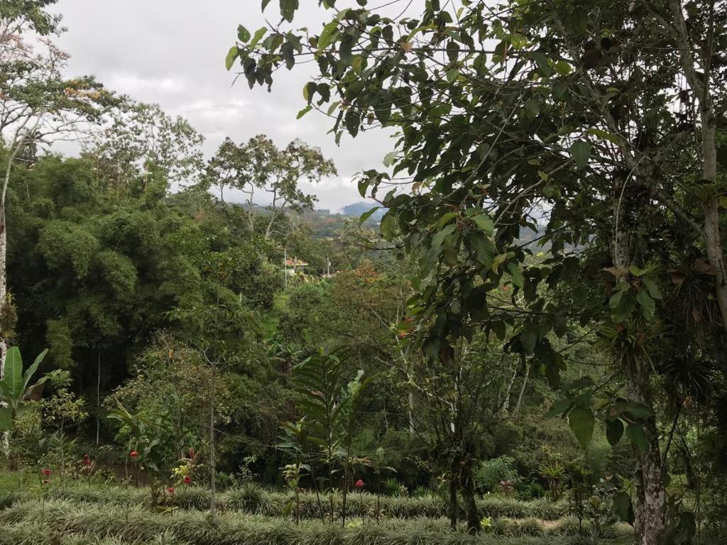 Hotel Green Mountain Turrialba Kültér fotó