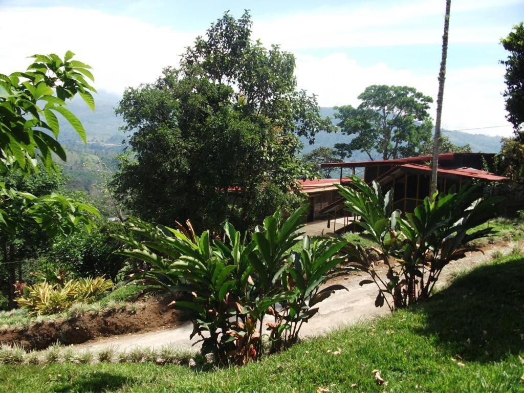 Hotel Green Mountain Turrialba Kültér fotó