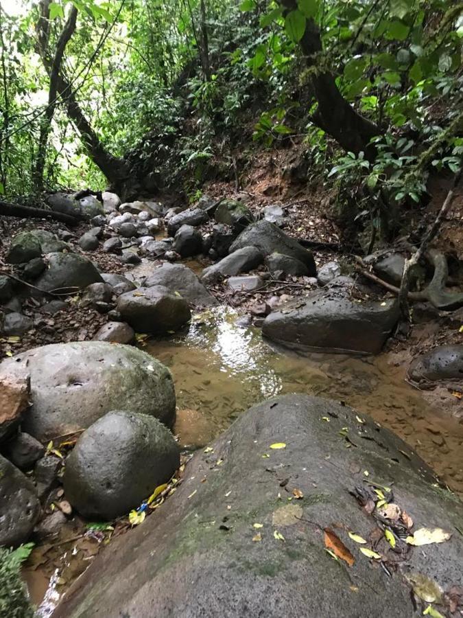 Hotel Green Mountain Turrialba Kültér fotó