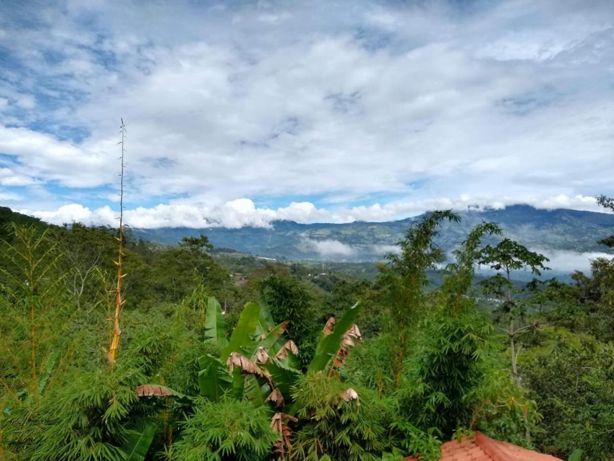 Hotel Green Mountain Turrialba Kültér fotó