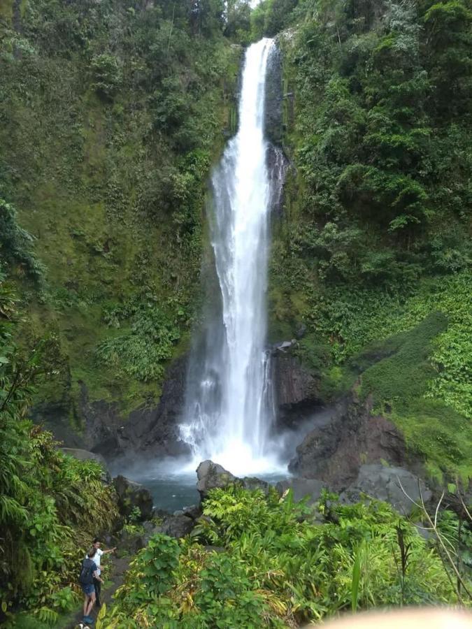 Hotel Green Mountain Turrialba Kültér fotó