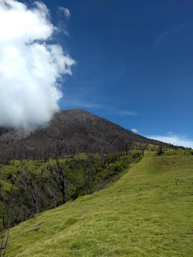 Hotel Green Mountain Turrialba Kültér fotó