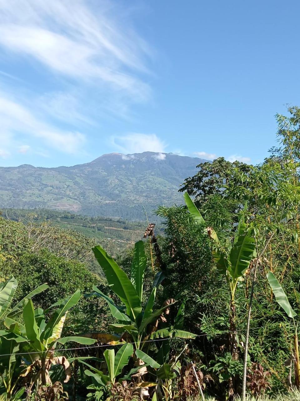 Hotel Green Mountain Turrialba Kültér fotó