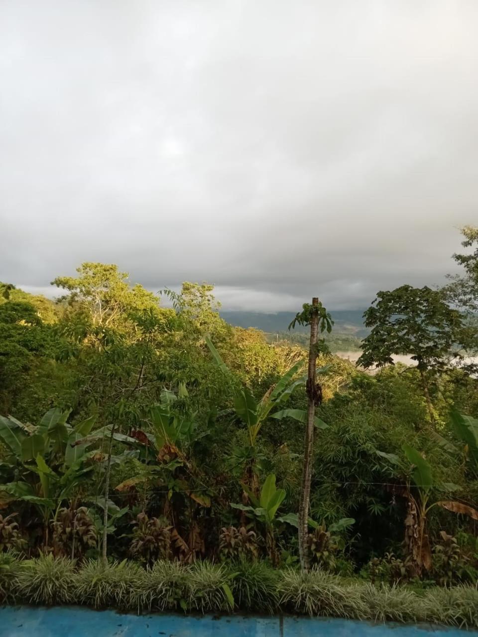 Hotel Green Mountain Turrialba Kültér fotó