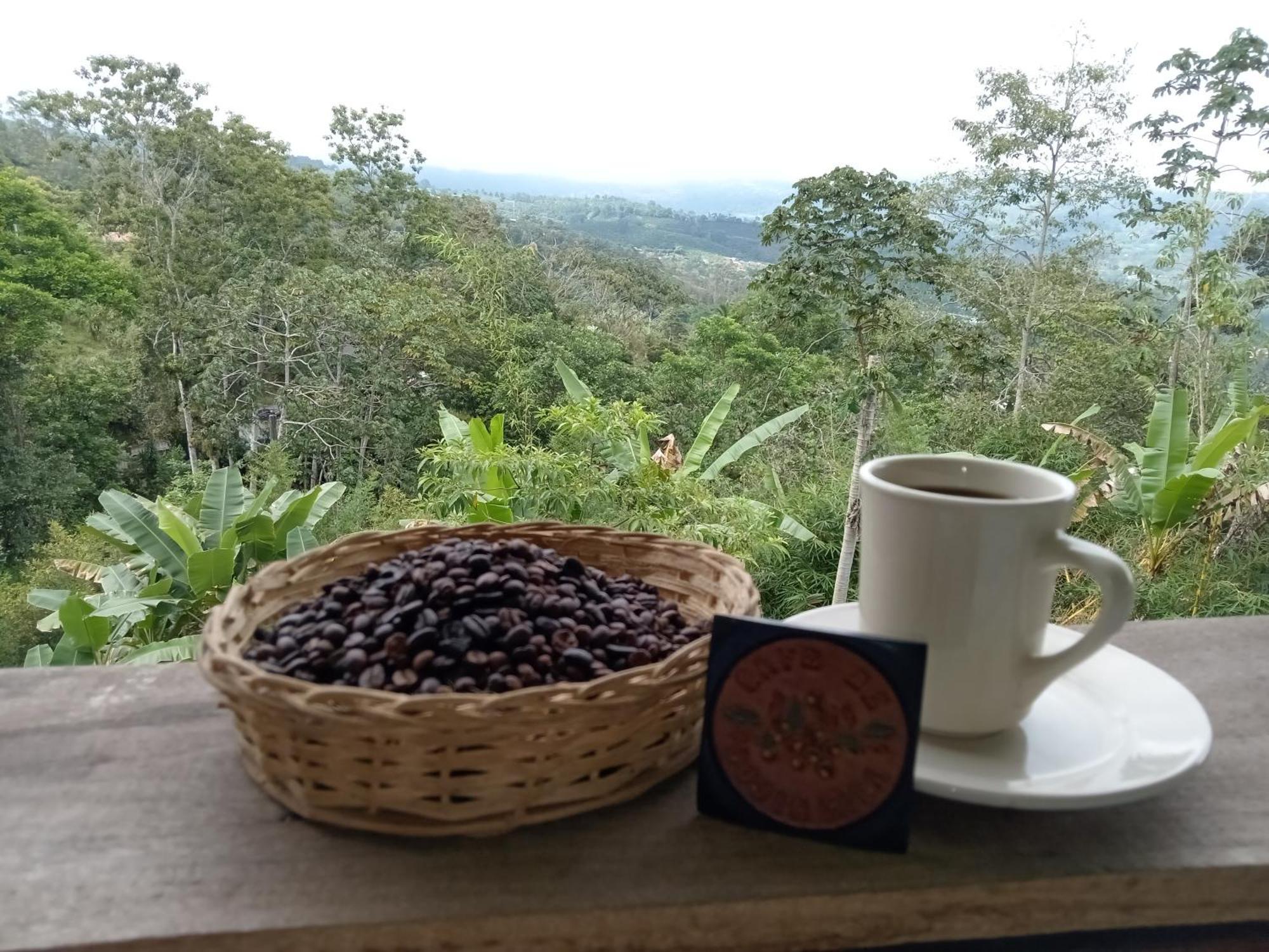 Hotel Green Mountain Turrialba Kültér fotó