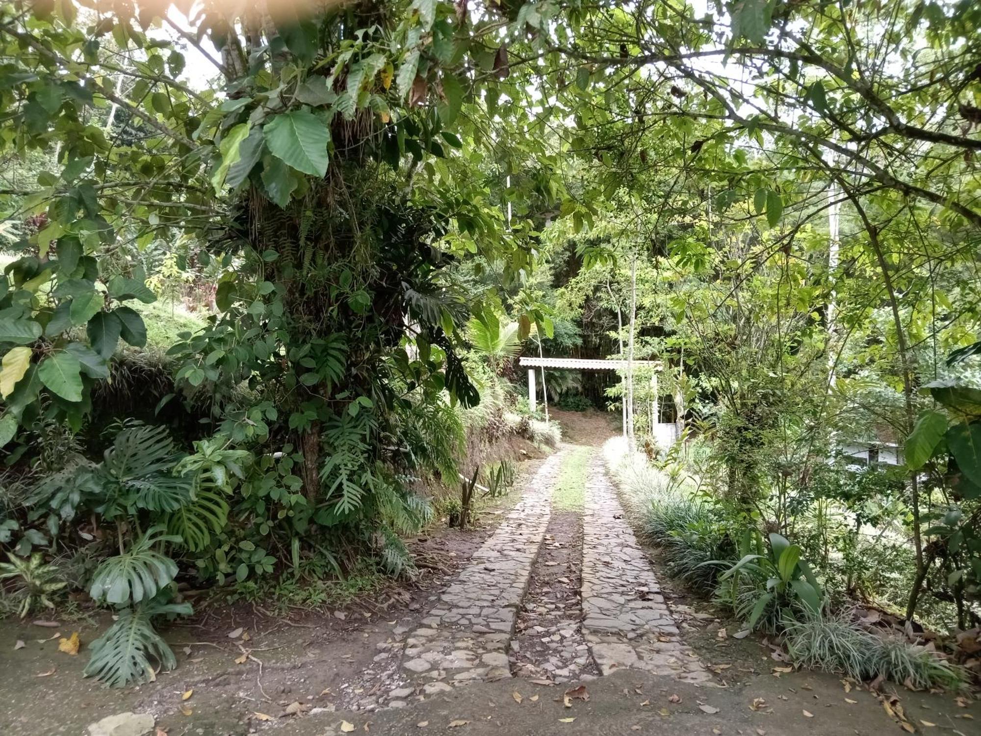 Hotel Green Mountain Turrialba Kültér fotó