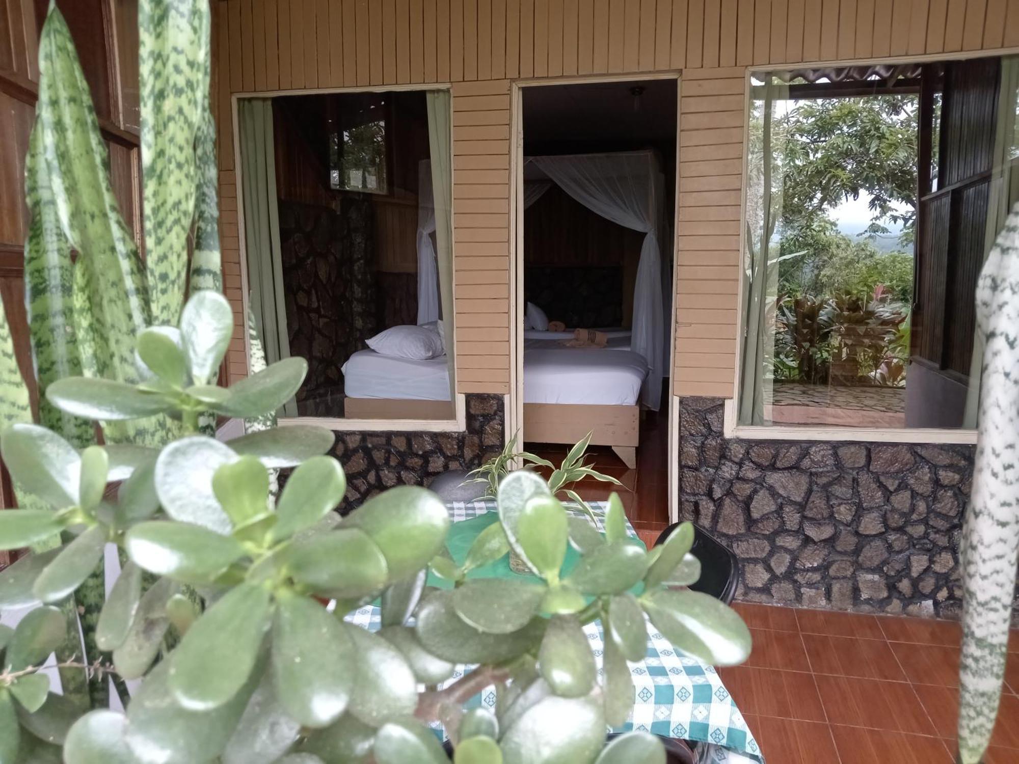Hotel Green Mountain Turrialba Kültér fotó