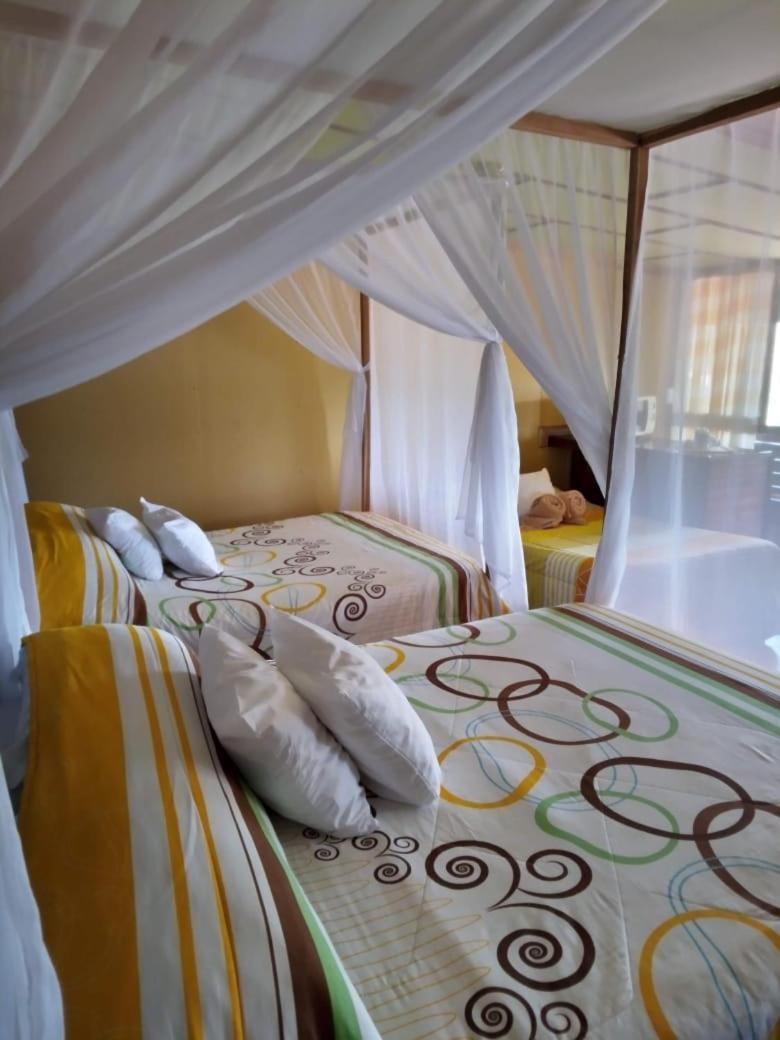 Hotel Green Mountain Turrialba Kültér fotó
