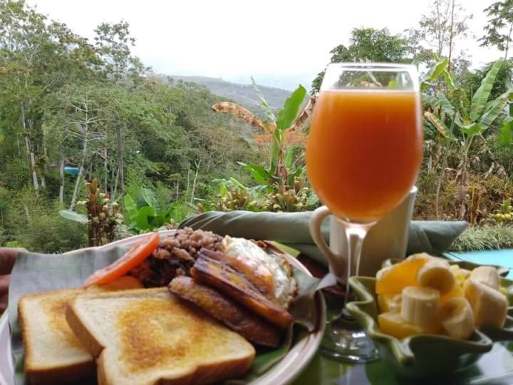Hotel Green Mountain Turrialba Kültér fotó