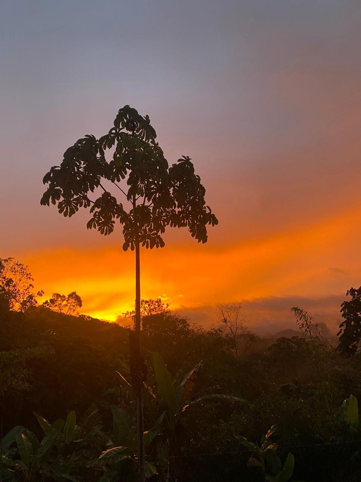 Hotel Green Mountain Turrialba Kültér fotó