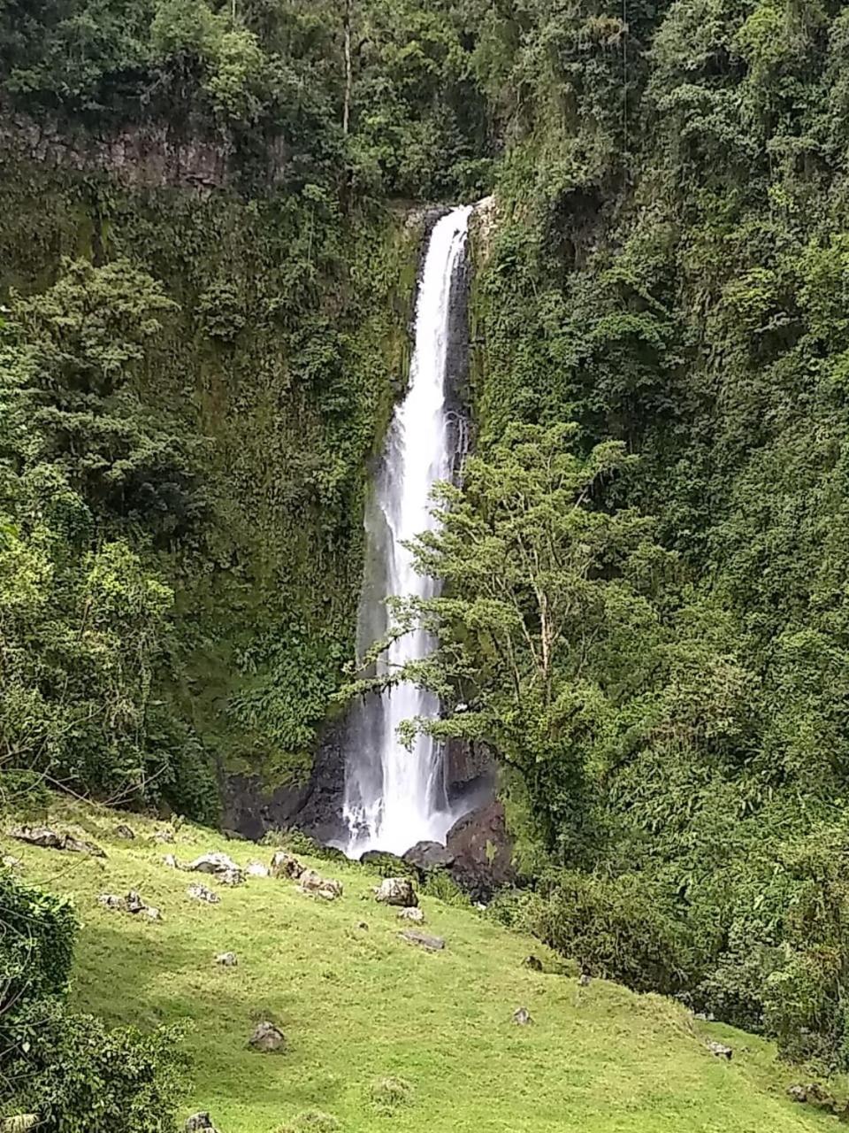Hotel Green Mountain Turrialba Kültér fotó